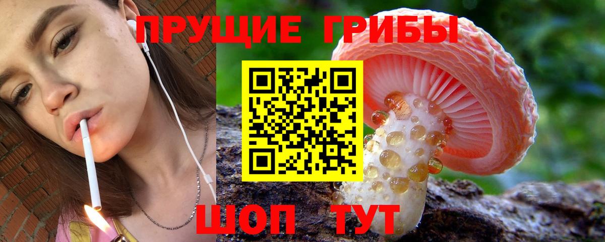 Псилоцибиновые грибы ЛСД Южно-Сахалинск